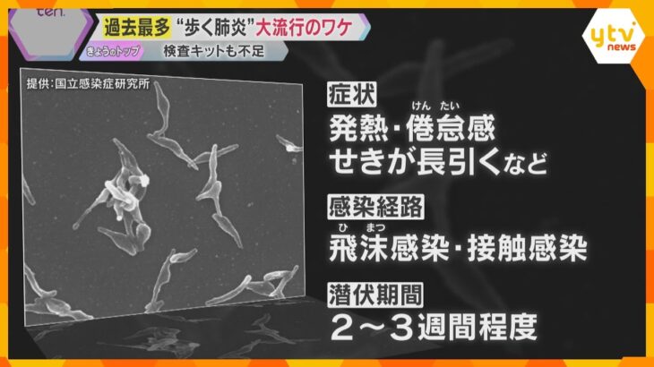 マイコプラズマ肺炎感染急増、2週連続で患者数が過去最多を更新　検査キットの不足や学級閉鎖の相談も