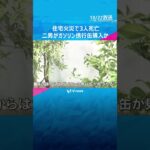 【独自】住宅火災で3人死亡　火元の家に住む53歳二男がガソリン携行缶購入　当時母の葬儀終え在宅か　#shorts #読売テレビニュース