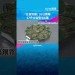 聖武天皇愛用の「肘おき」や世界で唯一の鏡など57件の宝物「正倉院展」26日開幕　奈良国立博物館 #shorts　#読売テレビニュース