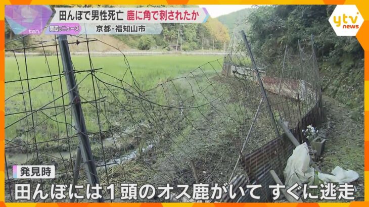 田んぼで68歳の男性が死亡　野生の鹿に角で刺されたか　周囲は高さ2ｍのフェンス　京都・福知山市