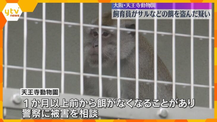 男性飼育員がサルのエサ用の野菜や果物を盗んだ疑い「動物のエサの上前をはねた」大阪市　天王寺動物園