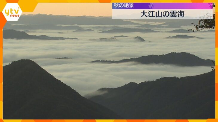 【映像】秋の絶景「雲海」今季一番の冷え込みで朝晩の寒暖差が大きくなり発生　京都・福知山市の大江山