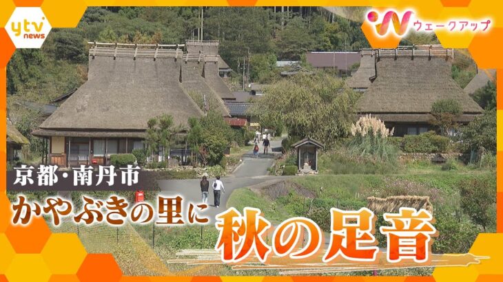 かやぶきの里に秋の足音　日本の原風景に出会える場所として世界から観光客　京都府南丹市 美山【ウェークアップ】