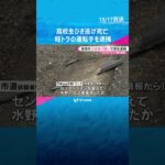 原付バイクに乗っていた高校生ひき逃げ、死亡させたか　軽トラックを運転していた男逮捕　#shorts #読売テレビニュース