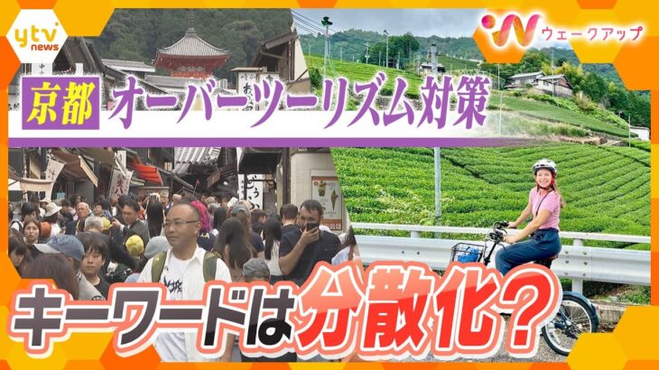 紅葉シーズン前　訪日外国人が“過去最高”にオーバーツーリズム対策に動く　秋の京都に密着　【ウェークアップ】