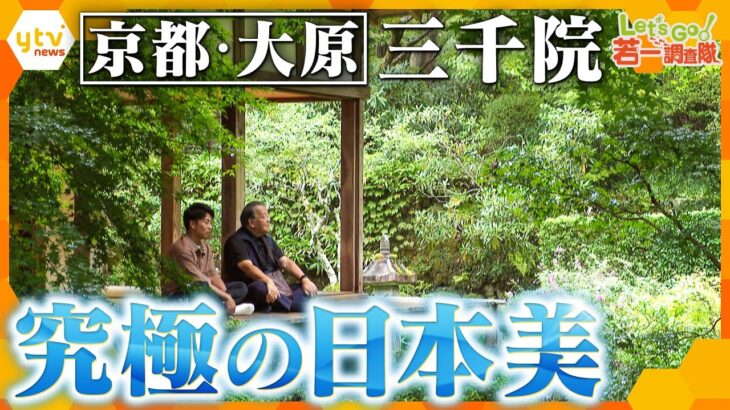 【若一調査隊】“究極の日本美” 京都・大原「三千院」２つの庭園と国宝仏像など文化財の数々