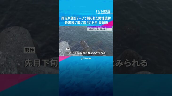 両足や顔を粘着テープで縛られた男性遺体、10月下旬に殺害され、その後海に流されたか　大阪・貝塚市　#shorts　#読売テレビニュース