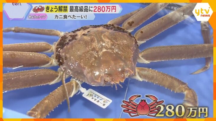 ズワイガニ漁解禁で初セリ　去年は最高級品に1000万円の高値も…ことしも280万円　兵庫・浜坂