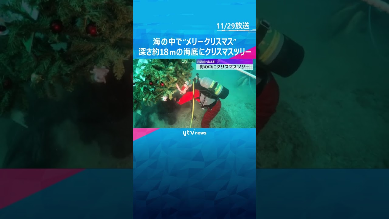海の中で「メリークリスマス」深さ約18mの海底に、高さ3mのクリスマスツリー　和歌山・串本町　#shorts #読売テレビニュース