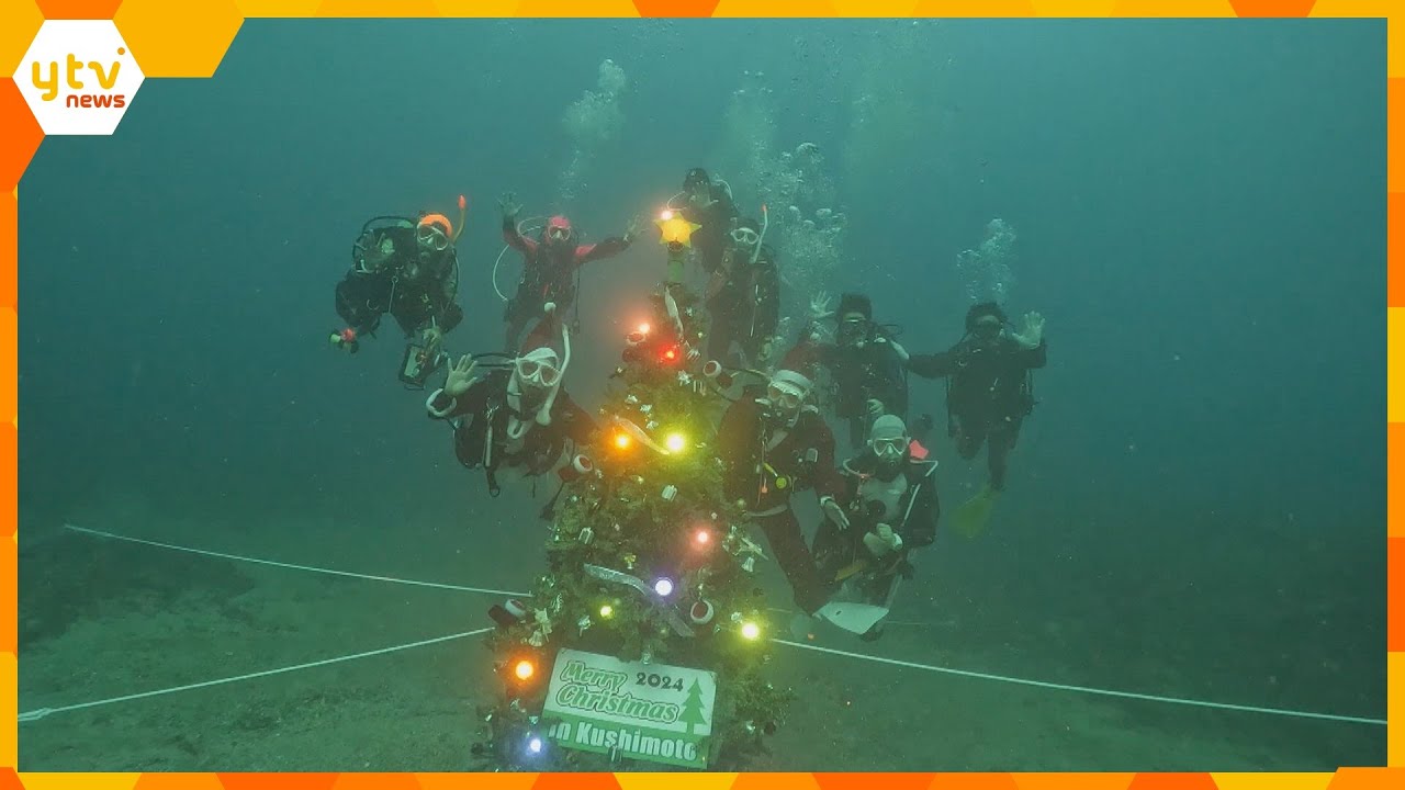 海の中で「メリークリスマス」深さ約18mの海底に、高さ3mのクリスマスツリー　和歌山・串本町