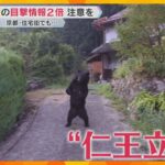 クマの目撃情報が京都で去年の2倍　住宅地でも多く目撃　兵庫では“仁王立ち”　ドングリの凶作原因か