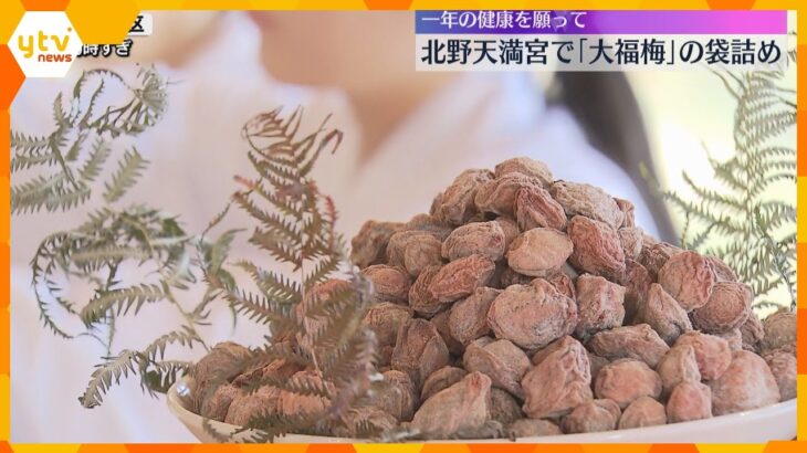 一年の健康を願う縁起物「大福梅」の袋詰め　約3万袋を来月から参拝者に配布　京都・北野天満宮