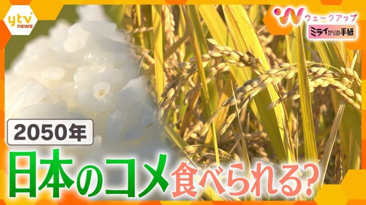 ＜ミライからの手紙#3＞2050年、日本のコメが食べられなくなる？農業を未来につなぐには【ウェークアップ】