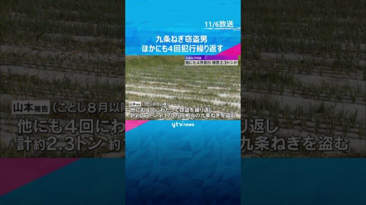 「育てるより盗んだ方が手っ取り早い」九条ねぎ窃盗　起訴の元農家の男、他にも4件・被害は2トン超か　#shorts #読売テレビニュース