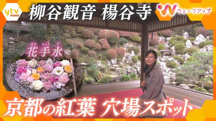 ｢花手水｣の“先駆け” 京都・柳谷観音～上書院から眺める紅葉と名勝庭園～【ウェークアップ】