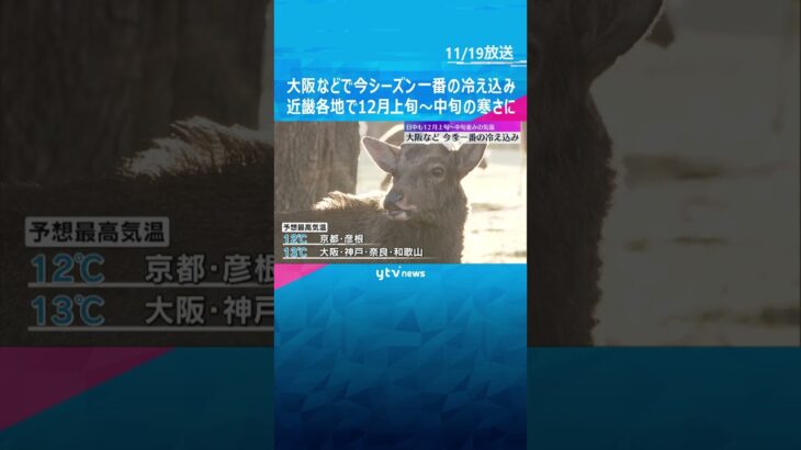 「こんなに寒くなると思っていなく…」大阪などで今季一番の冷え込み　近畿各地12月上旬～中旬の寒さ　#shorts #読売テレビニュース