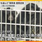 サルのエサ用の野菜や果物盗んだ疑い　飼育員の男を書類送検「厳正に対処したい」大阪・天王寺動物園