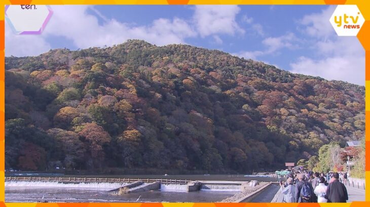 【中継】京都・嵐山のエリアで“最も紅葉が美しい”庭　「あっと言う間に冬」近畿厳しい冷え込み　