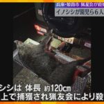 イノシシがこども園の園児らを襲う　男児に突然飛びつき手や足を噛み、6人が重軽傷　兵庫・姫路市