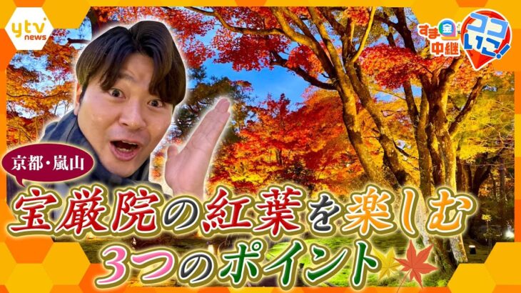 京都・嵐山で行列ができる紅葉スポット！「宝厳院」の美しい庭園を楽しむ“３つのポイント”教えします！【す・またん！】