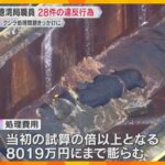 大阪港湾局職員、28件の違反行為確認　クジラの「淀ちゃん」の処理費用が膨らんだ問題をきっかけに