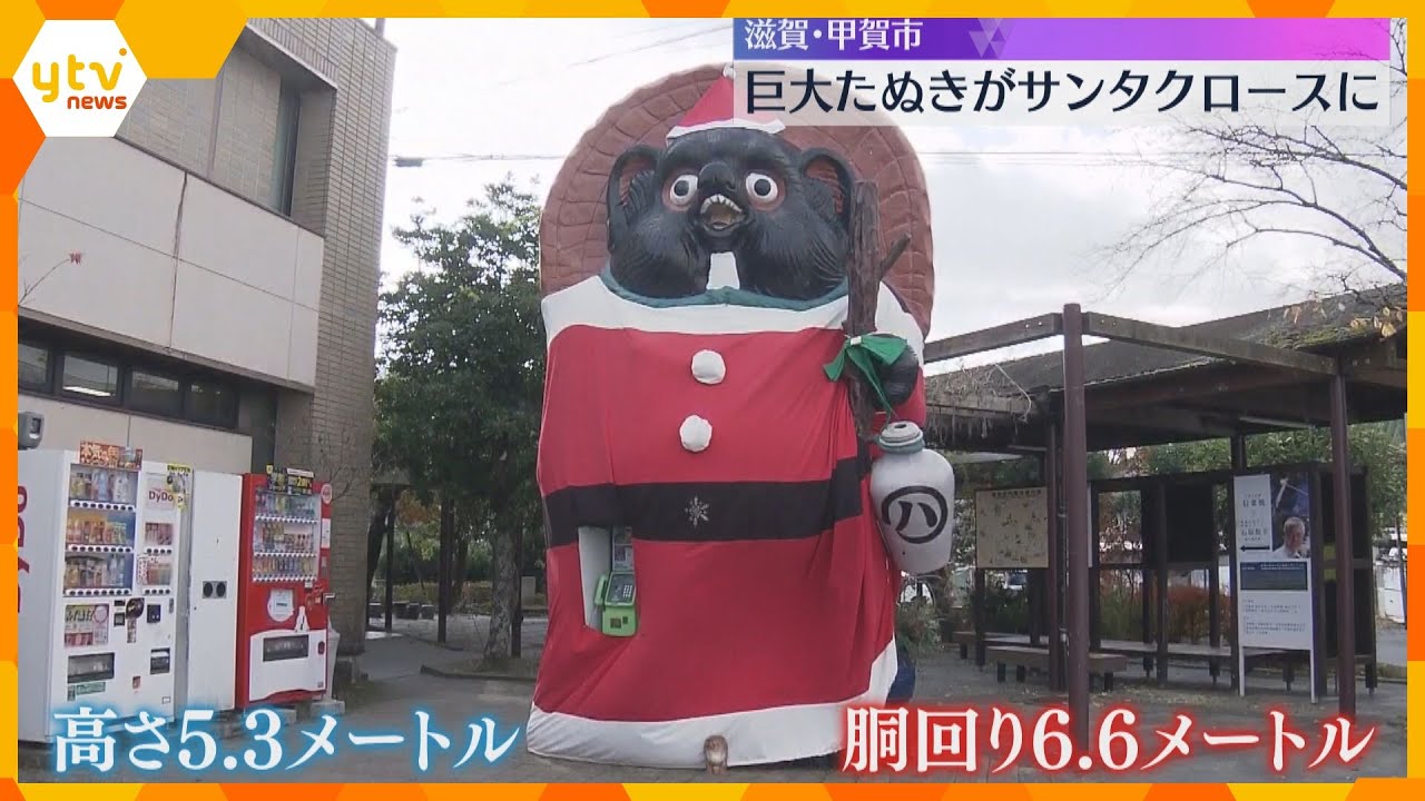 巨大たぬきがサンタクロースに衣替え　高さ5.3メートル、胴回りは6.6メートル　滋賀・甲賀市