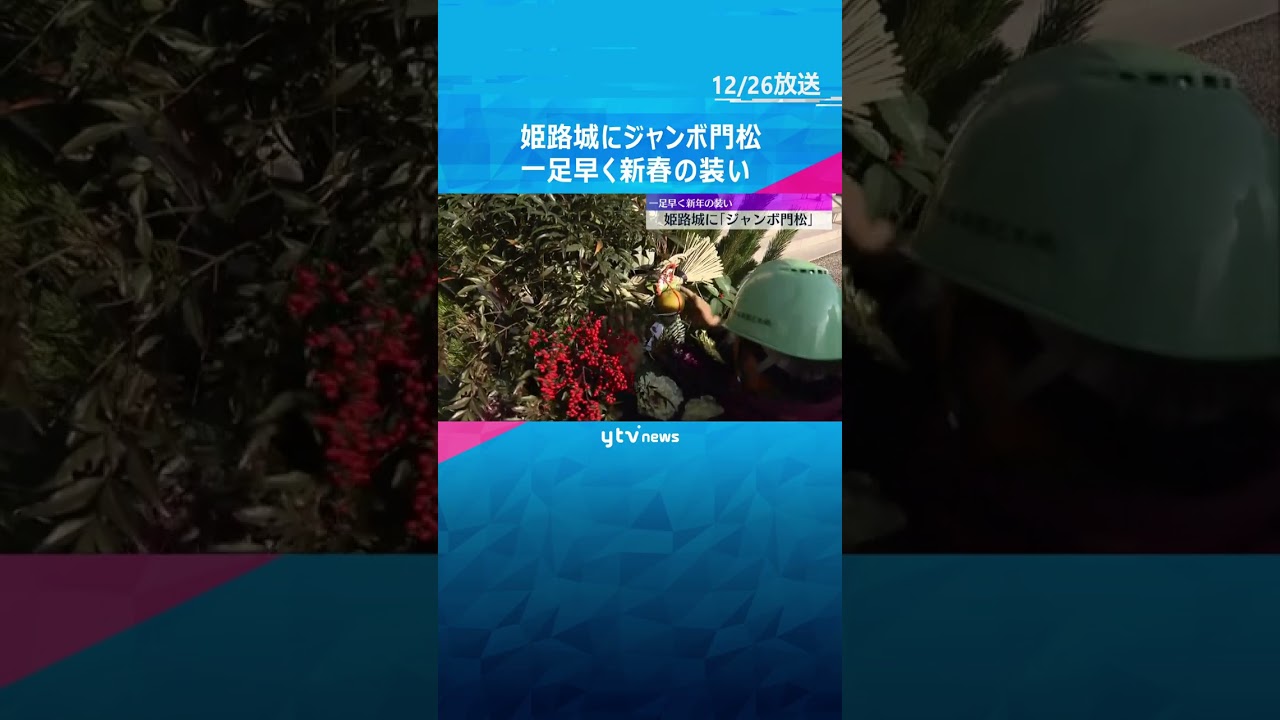 【一足早く】姫路城に高さ5メートルのジャンボ門松　#shorts #読売テレビニュース