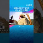 稲穂などで作った巨大な「巳」奉納　高さ6メートル、重さ2.5トン　姫路で「干支引き」#shorts #読売テレビニュース
