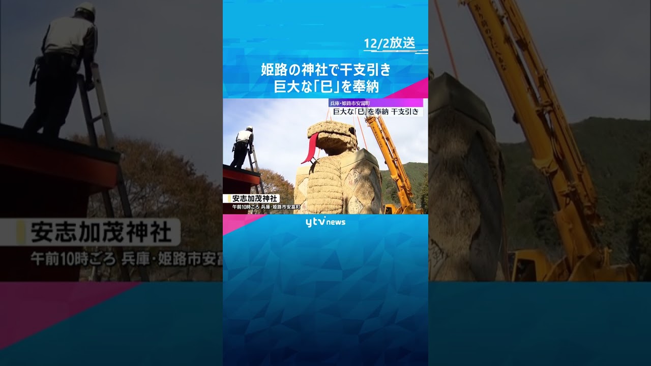 稲穂などで作った巨大な「巳」奉納　高さ6メートル、重さ2.5トン　姫路で「干支引き」#shorts #読売テレビニュース