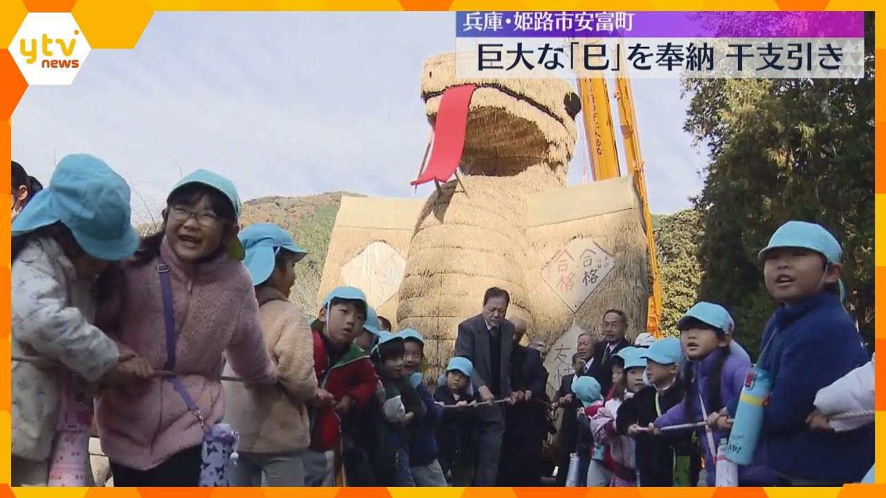 「よいしょ」稲穂などで作った巨大な「巳」奉納　高さ6メートル、重さ2.5トン　姫路で「干支引き」