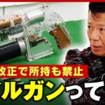 【銃刀法改正】リーゼント刑事「日本は銃社会になってはならない」の一方で…“実験・化学好き”愛好家との境界線は｜ABEMA的ニュースショー