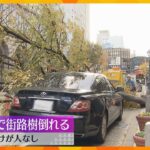 三宮で街路樹が根本から倒れる　車が下敷きもけが人はなし　街路樹は神戸市の管轄で内部は空洞　神戸