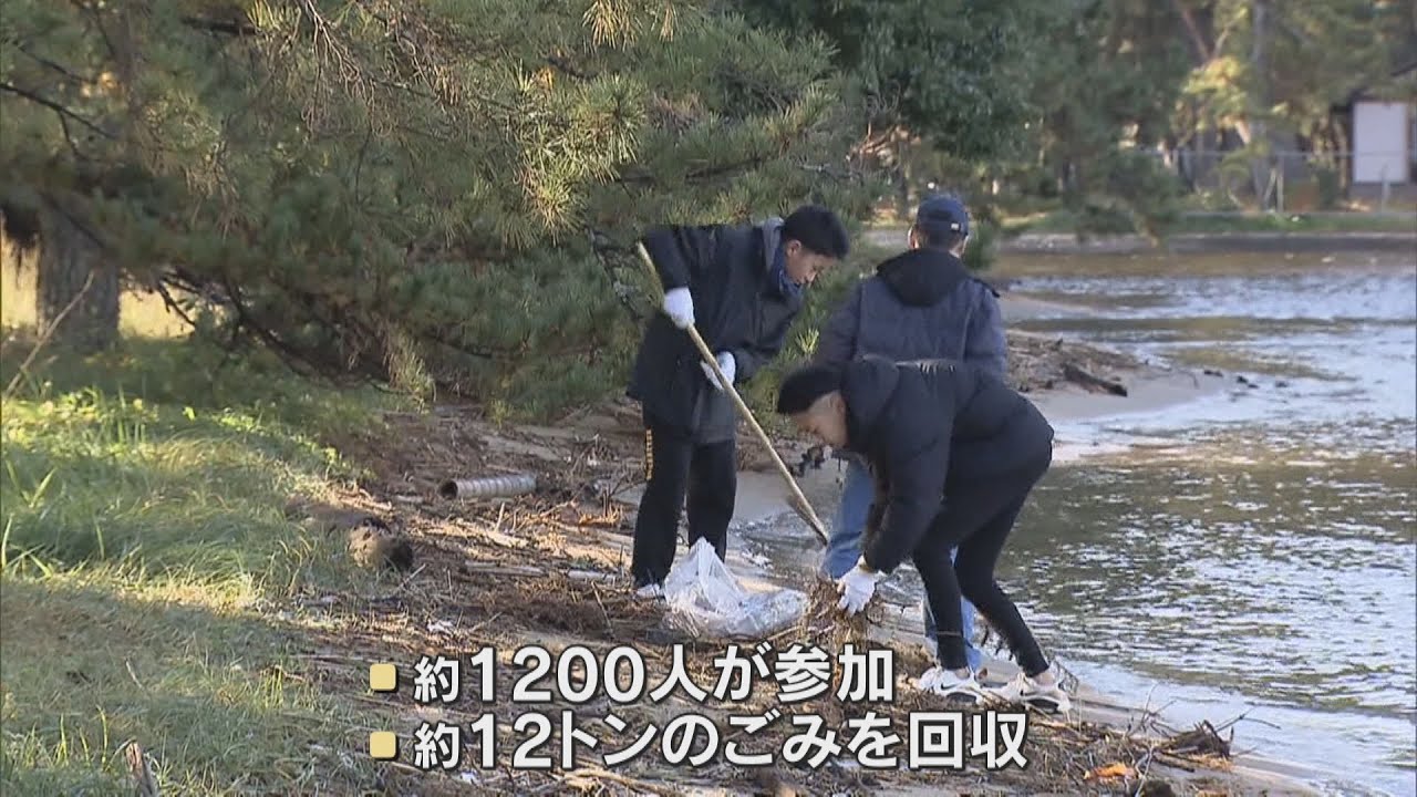 迎春準備　天橋立一斉清掃に１２００人参加