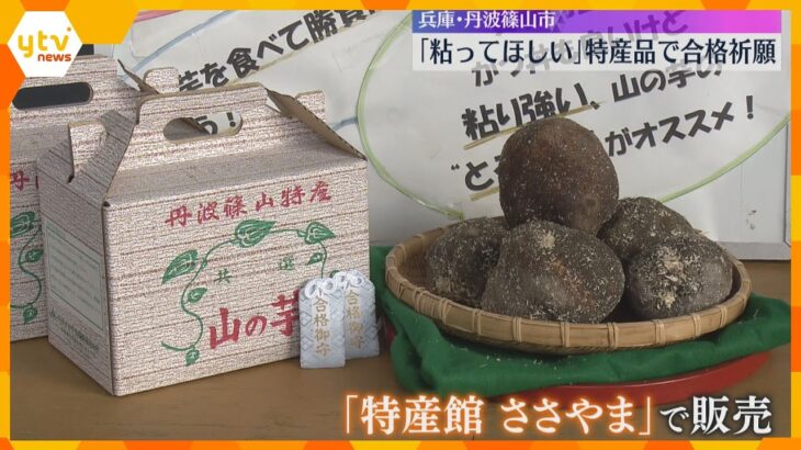 「粘ってほしい」特産『山の芋』で合格祈願　器を逆さにしても”落ちない”粘り強さ　兵庫・丹波篠山市