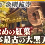 【若一調査隊】金剛輪寺「血染めの紅葉」と呼ばれる紅葉の名所で国宝の本堂には日本最古の大黒天像も！