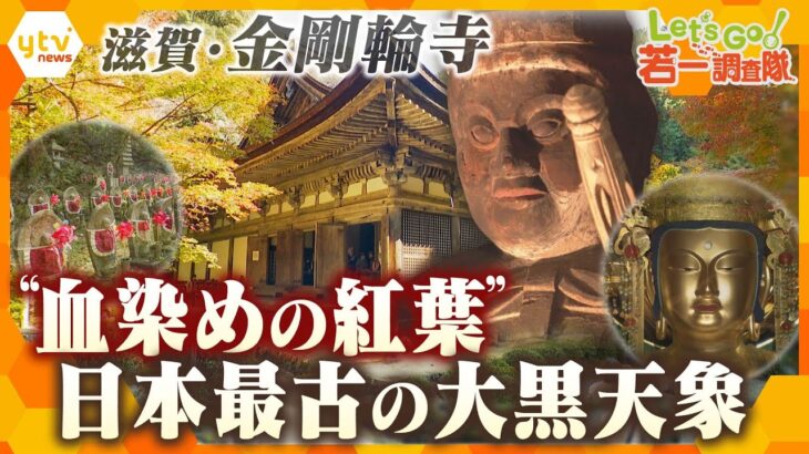 【若一調査隊】金剛輪寺「血染めの紅葉」と呼ばれる紅葉の名所で国宝の本堂には日本最古の大黒天像も！