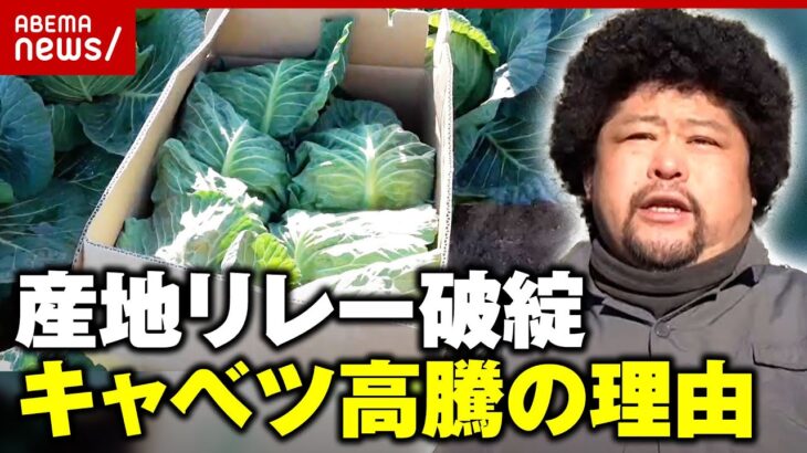 【1玉1000円】農家も大打撃 キャベツ高騰のメカニズム「異常気象で“産地リレー”破綻」｜ABEMA的ニュースショー