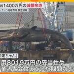 最大約1400万円減額余地あった　クジラ「淀ちゃん」処理費用めぐる問題、監察委員が調査結果公表