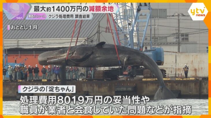 最大約1400万円減額余地あった　クジラ「淀ちゃん」処理費用めぐる問題、監察委員が調査結果公表