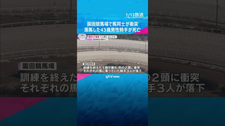 調教中に馬が突然暴れて別の2頭に衝突　落馬した43歳の男性騎手が死亡、ほか2人軽傷　園田競馬場  #shorts　#読売テレビニュース