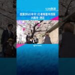 「仕方ない。長いこと楽しませてもらった」60年住民が守り続けた桜並木が伐採　高齢化で管理難しく　#shorts #読売テレビニュース