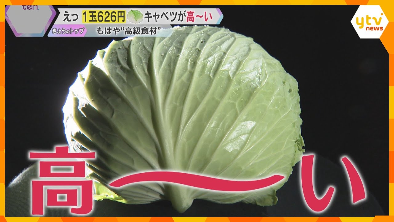 【高い！】キャベツ“記録的高騰”に家庭も店も悲鳴「高級品ですね」2025年も続く値上げラッシュ…暮らしへの影響・賃金について詳細解説