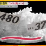 「そりゃ困るわ」コメが高～い！　おにぎりやお弁当が値上げ　スーパーでも2～3割のアップへ　