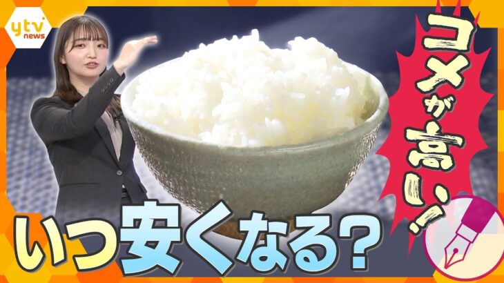 【キシャ解説】足りているのになぜ高い？　続くコメの価格高騰、業者同士の争奪戦に…政府は「備蓄米」放出へ　いつになったら安くなる？
