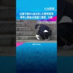 「血を流して倒れている」公園で倒れている男性発見、頭に打ったような痕も　事件と事故の両面で捜査　#shorts #読売テレビニュース