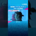 節分を前に海遊館に「オニさんダイバー」登場「写真撮るのが楽しかった」”まめ”に手を振り大人気#shorts #読売テレビニュース