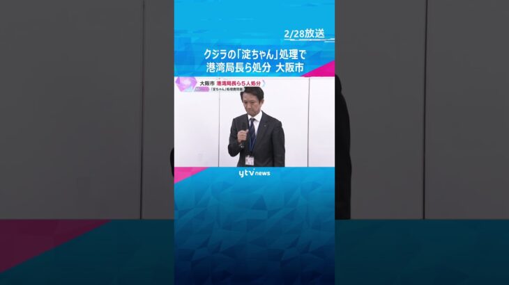 クジラの「淀ちゃん」処理費問題　港湾局長ら5人処分　横山市長「市民に不信感を抱かれないように」#shorts #読売テレビニュース