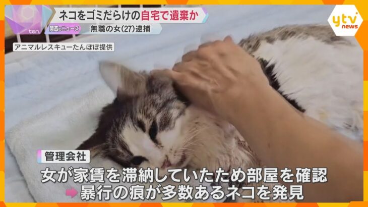 「引っ越しで世話を放棄」飼っていたネコをゴミだらけの部屋に約1か月置き去りか　27歳無職の女逮捕