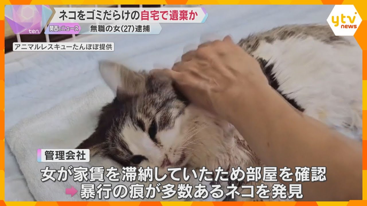 「引っ越しで世話を放棄」飼っていたネコをゴミだらけの部屋に約1か月置き去りか　27歳無職の女逮捕