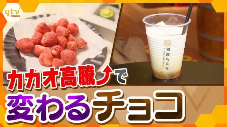 “カカオ高騰”に負けないことしのバレンタイン 　カカオを丸ごと味わう商品やチョコレート菓子で工夫も　大阪で栽培のイチゴが目玉！？　【かんさい情報ネット ten.特集】